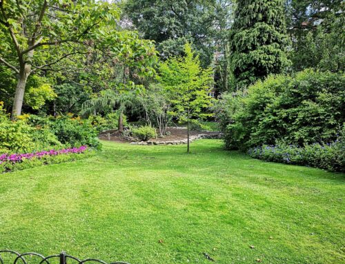 Backyard Ideas to Transform Your Outdoor Space This Spring